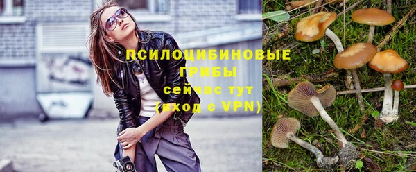 каннабис Туринск