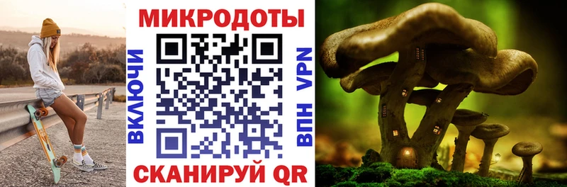 Галлюциногенные грибы мухоморы  Тында 