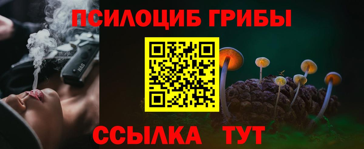 Тында  Псилоцибиновые грибы мухоморы  Вход с VPN  Псилоцибиновые грибы MAGIC MUSHROOMS 